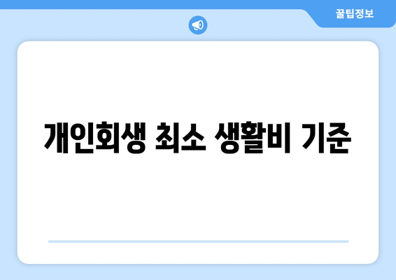 개인회생 최소 생활비 기준