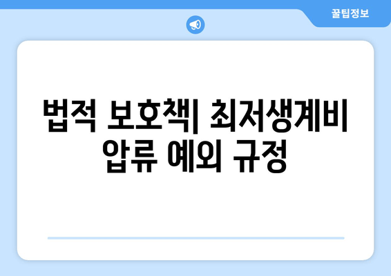 법적 보호책| 최저생계비 압류 예외 규정