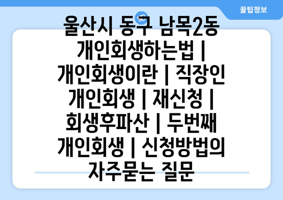 울산시 동구 남목2동 개인회생하는법 | 개인회생이란 | 직장인 개인회생 | 재신청 | 회생후파산 | 두번째 개인회생 | 신청방법