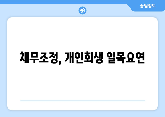 채무조정, 개인회생 일목요연