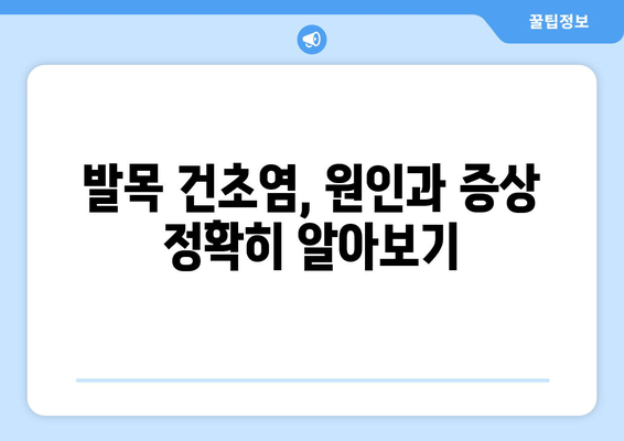 발목 건초염 극복을 위한 맞춤형 개선 가이드 | 운동, 치료, 예방, 재활