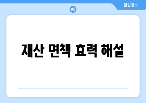 재산 면책 효력 해설