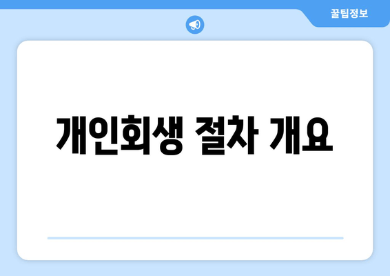 개인회생 절차 개요