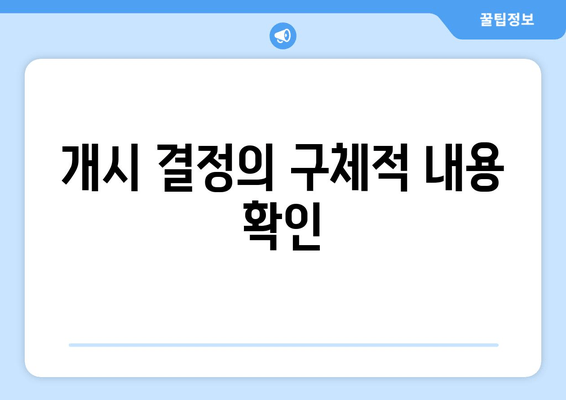 개시 결정의 구체적 내용 확인