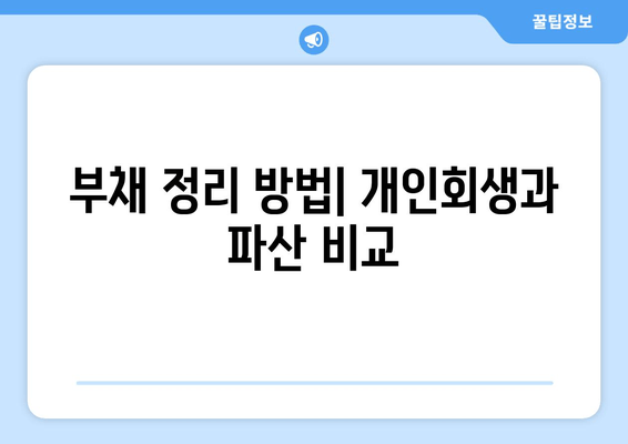 부채 정리 방법| 개인회생과 파산 비교