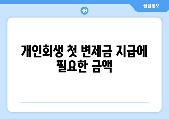 개인회생 첫 변제금 지급에 필요한 금액