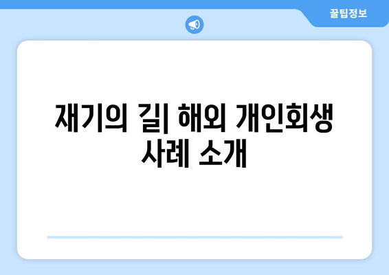 재기의 길| 해외 개인회생 사례 소개