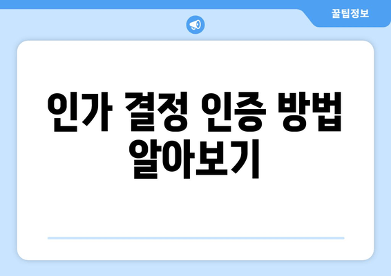 인가 결정 인증 방법 알아보기