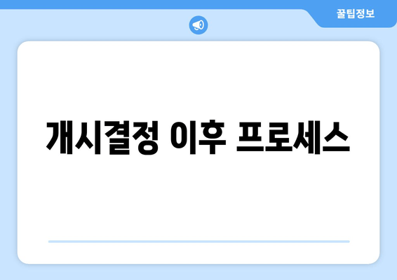 개시결정 이후 프로세스