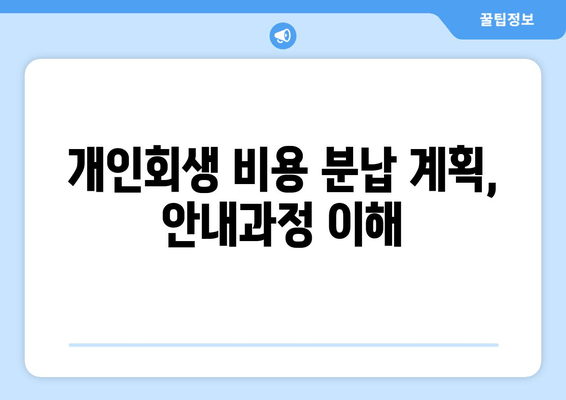 개인회생 비용 분납 계획, 안내과정 이해