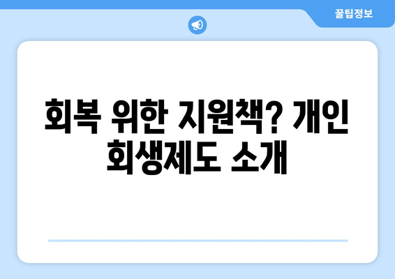 회복 위한 지원책? 개인 회생제도 소개