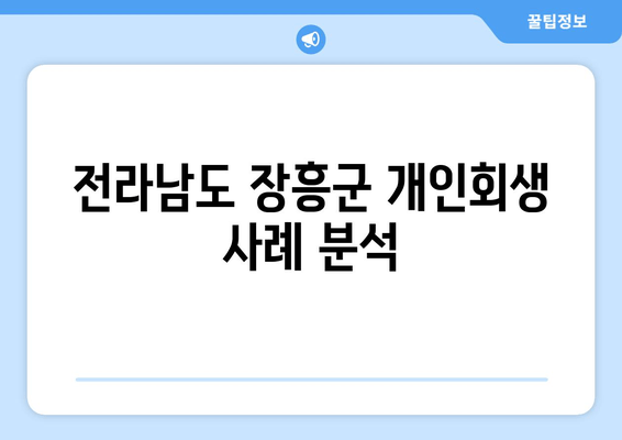 전라남도 장흥군 개인회생 사례 분석