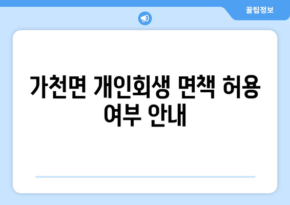 가천면 개인회생 면책 허용 여부 안내