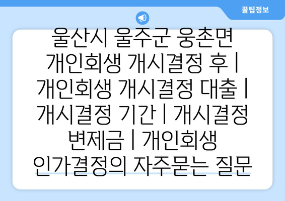 개인회생 개시결정