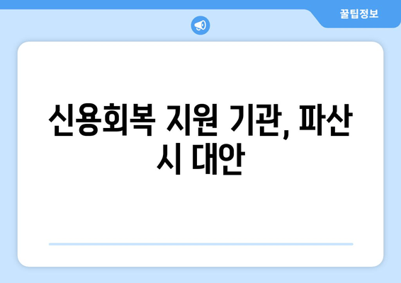 신용회복 지원 기관, 파산 시 대안