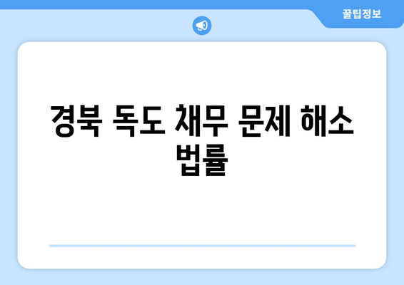 경북 독도 채무 문제 해소 법률