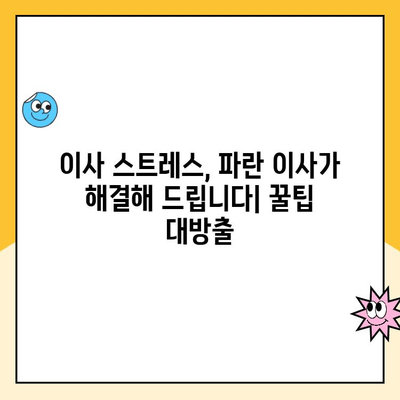 파란 이사 2월 이용 후기| 꼼꼼한 서비스와 꿀팁 공개 | 이사 후기, 파란이사, 2월 이사