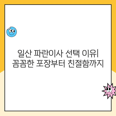 신혼부부 이사 후기| 일산 김병만의 파란이사 내돈내산 후기 | 솔직한 장단점과 비용 공개!