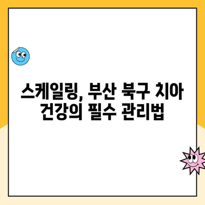 부산 북구 치아 건강 지키기! 스케일링 주기와 그 중요성 | 치과, 구강 관리, 잇몸 건강