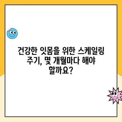 부산 북구 치아 건강 지키기! 스케일링 주기와 그 중요성 | 치과, 구강 관리, 잇몸 건강