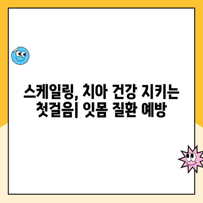 부산 북구 치아 건강 지키기! 스케일링 주기와 그 중요성 | 치과, 구강 관리, 잇몸 건강