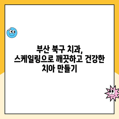 부산 북구 치아 건강 지키기! 스케일링 주기와 그 중요성 | 치과, 구강 관리, 잇몸 건강