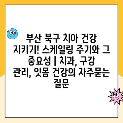 부산 북구 치아 건강 지키기! 스케일링 주기와 그 중요성 | 치과, 구강 관리, 잇몸 건강