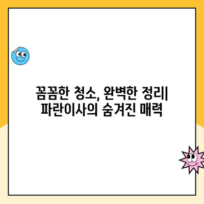 파란이사 김병만, 긍정 후기는 진짜? 청소, 정리 완벽 후기 대공개! | 이사 후기, 파란이사, 김병만, 이삿짐센터 추천