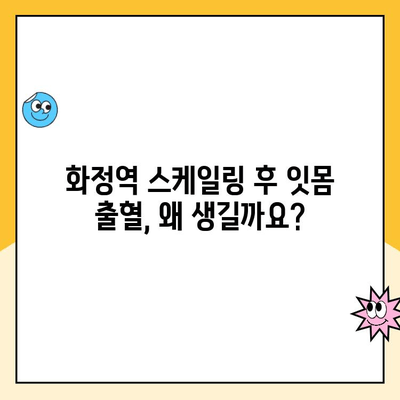 화정역 스케일링 후 잇몸 출혈, 그 원인을 파헤쳐 보세요! | 잇몸 질환, 치주염, 스케일링 후 관리