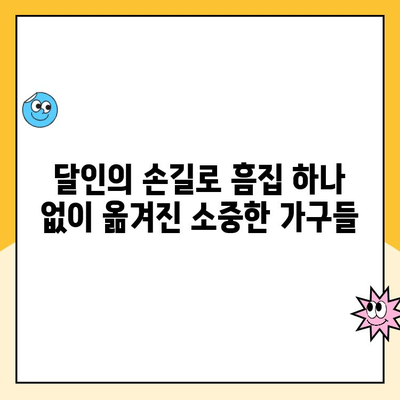 파란이사 16호점 후기| 달인의 손길이 빚은 완벽한 이사 경험 | 파란이사, 이사 후기, 이삿짐센터 추천