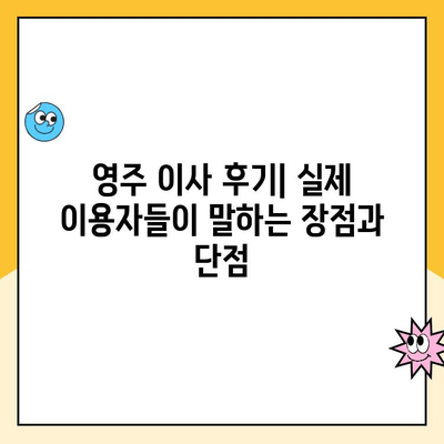 영주 이사 준비 완벽 가이드| 김병만 파란이사 vs 영주 이삿짐 센터 비교 분석 | 이사짐센터, 비용, 서비스, 후기