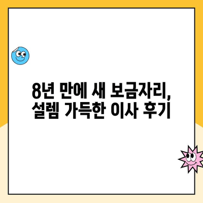 8년 만의 이사, 김병만 파란이사와 함께! 비오는 날 이사 후 아산 맛집 싸릿골 순대국밥까지 | 이사 후기, 짐 정리 팁, 아산 맛집 추천