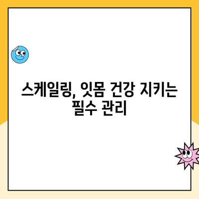 청주치과 스케일링, 피가 나는 이유? 발치 전조 증상일까요? | 치주염, 잇몸 질환, 스케일링 후 관리