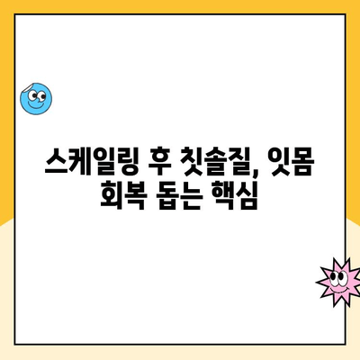 청주치과 스케일링, 피가 나는 이유? 발치 전조 증상일까요? | 치주염, 잇몸 질환, 스케일링 후 관리