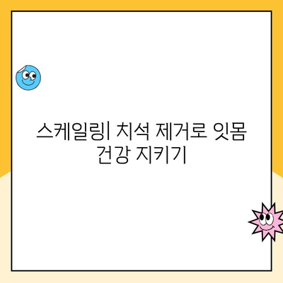 스케일링으로 구강 건강을 손쉽게 지키는 5가지 방법 | 치석 제거, 잇몸 건강, 구취 제거, 스케일링 주기, 치과 상담