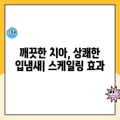 스케일링으로 구강 건강을 손쉽게 지키는 5가지 방법 | 치석 제거, 잇몸 건강, 구취 제거, 스케일링 주기, 치과 상담