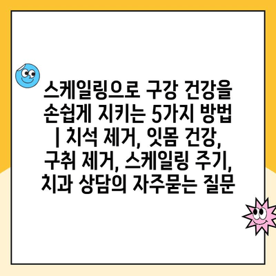 스케일링으로 구강 건강을 손쉽게 지키는 5가지 방법 | 치석 제거, 잇몸 건강, 구취 제거, 스케일링 주기, 치과 상담