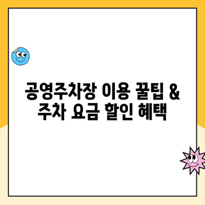 동탄호수공원 주차 완벽 가이드| 공영주차장, 요금 정보 & 현장 사진 | 화성시, 주차장 위치, 주차 요금, 주차 팁