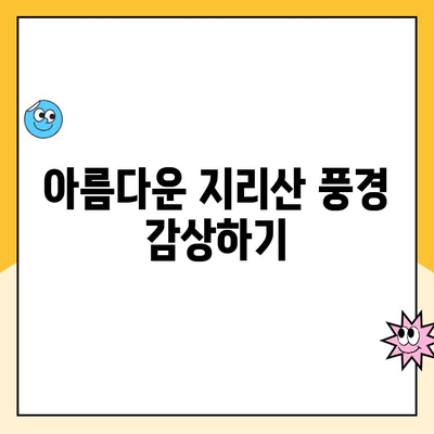 지리산 등산 코스 추천| 노고단 정상 등반 & 성삼재 휴게소 주차 정보 | 지리산, 등산 코스, 노고단, 성삼재, 주차