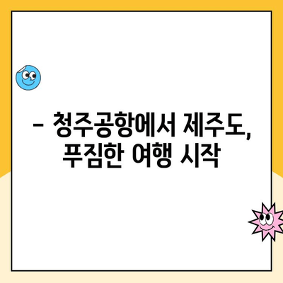 청주공항 제주도행| 주차장 요금 & 국내선 맛집 정보 | 여행 준비, 주차, 식사