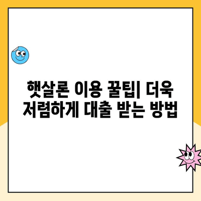 햇살론 사이트 비교 후 사업 자금 대출 성공! 후기 & 꿀팁 | 사업자 대출, 저금리 대출, 햇살론