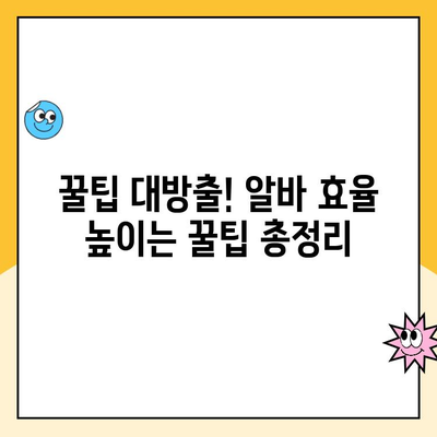 제주 쿠팡 소화물 분류 알바 후기| 제주2캠프 vs 제주3캠프 | 솔직 후기, 장단점 비교, 꿀팁 대방출!