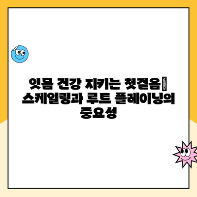 치주 질환 치료의 핵심| 스케일링과 루트 플레이닝 | 치주염, 잇몸 질환, 치과 치료, 구강 건강