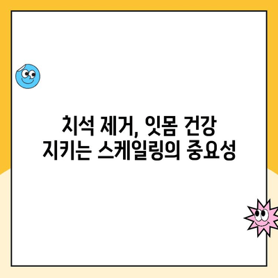 부산 스케일링 치과, 구강 청결 유지의 지름길 | 스케일링, 치석 제거, 잇몸 건강, 부산 치과 추천