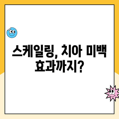 스케일링, 치아를 손상시킨다고요? 진실을 파헤쳐 보세요! | 치아 건강, 오해 해소, 잇몸 관리