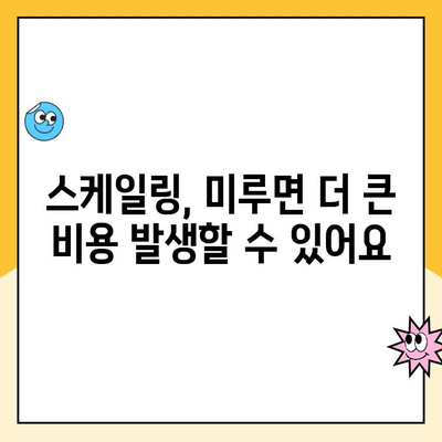 스케일링 주기와 보험 비용, 똑똑하게 기억하는 방법 | 치과 관리, 보험 활용, 비용 절감