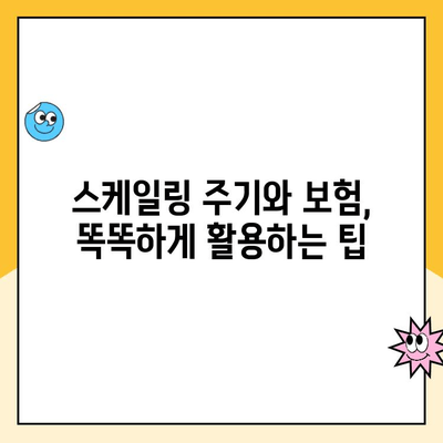 스케일링 주기와 보험 비용, 똑똑하게 기억하는 방법 | 치과 관리, 보험 활용, 비용 절감