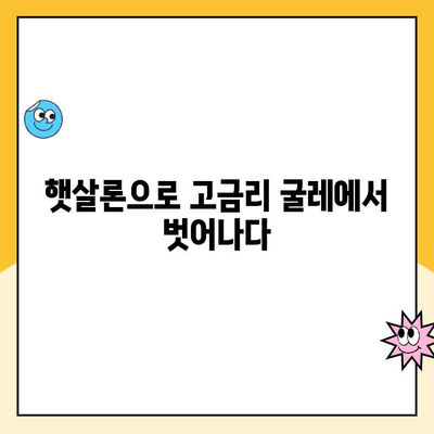 햇살론 고금리 대환 대출 후기| 성공적인 대환 경험 공유 | 햇살론, 고금리 대출, 대환 대출, 후기, 성공 사례