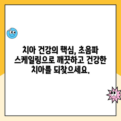 치석 제거의 혁신| 치과 초음파 스케일링의 모든 것 | 치석 제거, 스케일링, 치과, 치아 건강