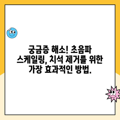 치석 제거의 혁신| 치과 초음파 스케일링의 모든 것 | 치석 제거, 스케일링, 치과, 치아 건강